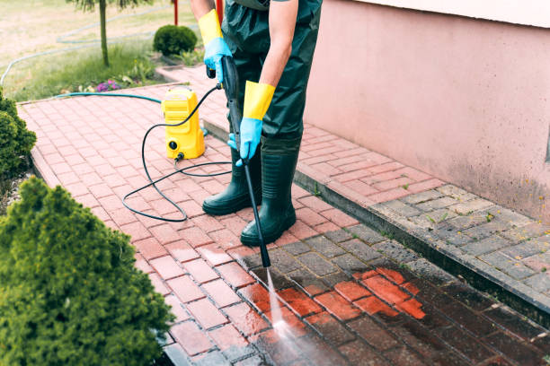 Best Gutter Cleaning  in Hampton, VA